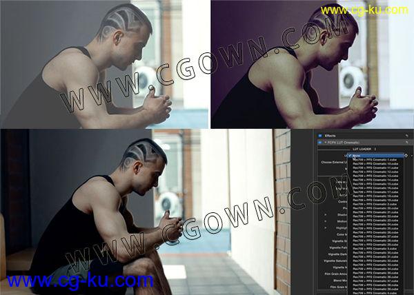 FCPX插件60组LUT调色预设电影胶片质感风格+视频教程 FinalCutProX的图片1