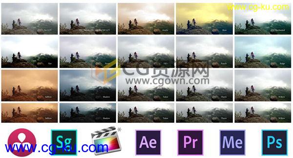 200组暖色调LUTs电影预设 GoPro大疆航拍无人机 Color Grading LUTs的图片1