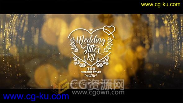 100种婚礼视频包装标题设计动画包括实用视频素材AE模板的图片1