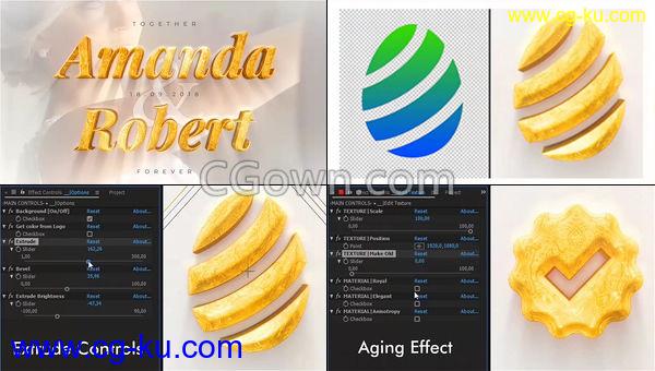 9组金色梦幻明亮LOGO动画奢华婚礼邀请标题视频制作-AE模板下载的图片1