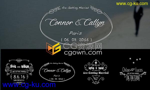 FCPX插件8种卡通手绘风格标签字幕婚礼视频文字标题动画预设的图片1