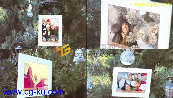 冬季美丽照片摄影作品视频相册圣诞树枝轻轻摇摆合成图像展示效果-AE模板下载的图片1