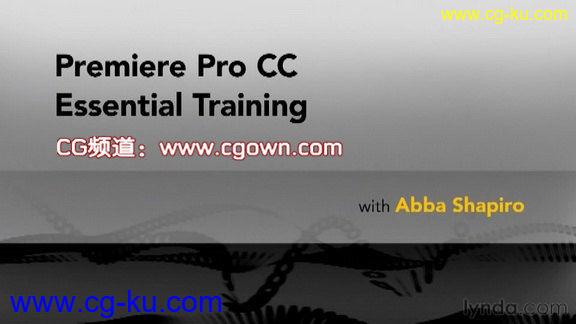 Premiere Pro CC Essential Training新功能全面教程的图片1