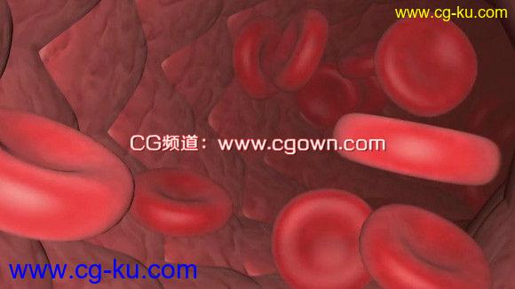 C4D – 创建血管内血流运动图形教程的图片1