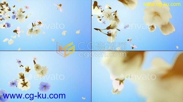 花卉与花瓣飘动演绎LOGO片头春天化妆品香水情人节宣传视频-AE模板下载的图片1