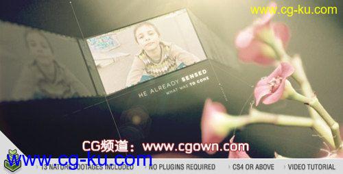 AE模板VIDEOHIVE Natural Life自然清新图片展示的图片1