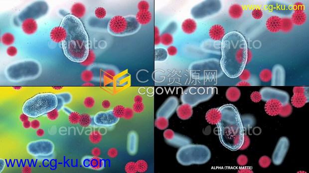 视频素材抗新型冠状病毒抗体疫苗细胞变化动画效果视频的图片1