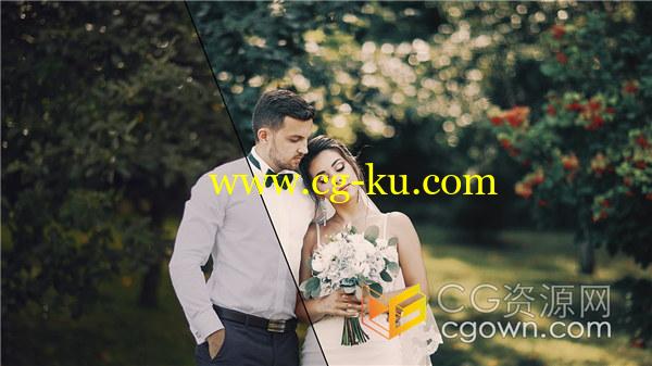 50个精心制作的实用完美婚礼LUT创建照片视频独特电影胶片色调的图片1