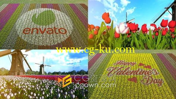 花田风景花朵鲜花摆成文字标题标志图案动画效果视频片头-AE模板的图片1