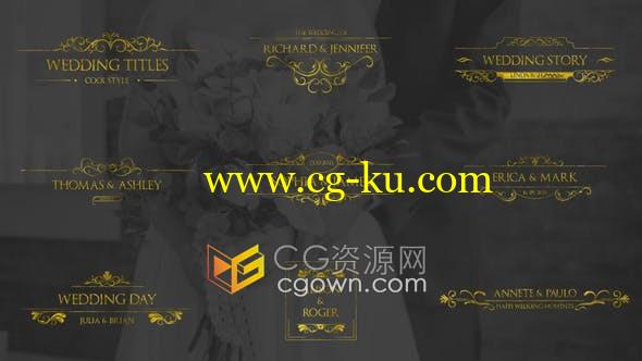 AE模板-金色典雅徽章婚礼标签文字标题视频字幕Gold Wedding Titles的图片1