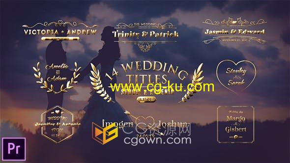 PR模板-14个金色粒子徽章图案设计婚礼标题视频字幕Wedding Titles的图片1