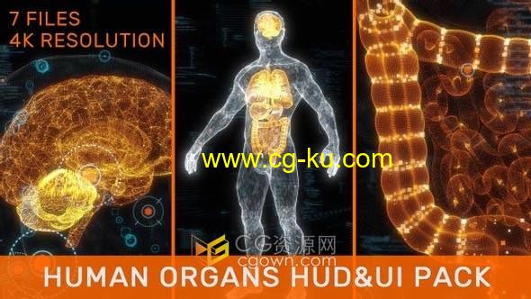 3D人体器官线X射线大脑心肺肝脏肠胃全身HUD UI粒子动画医疗视频素材的图片1