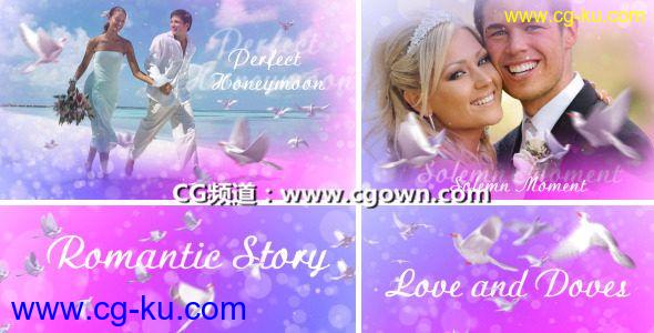 爱与鸽子Videohive Love And Doves AE模板的图片1