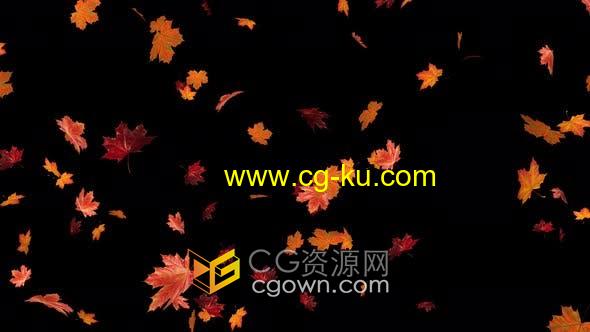 4K视频素材-秋天枫叶子掉落动画效果带Alpha透明通道的图片1