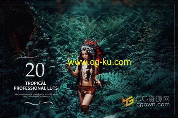 20个热带Tropical复古风格专业颜色分级LUT调色预设免费下载的图片2