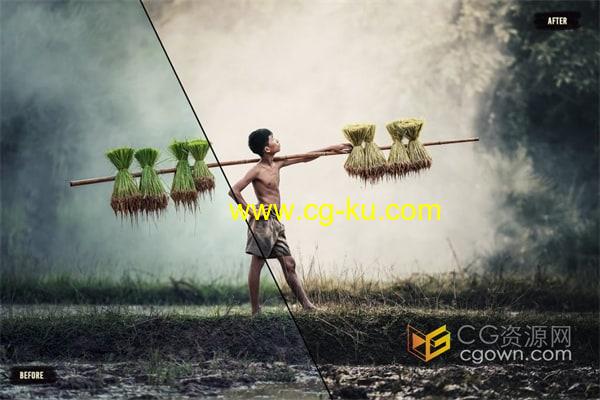20个热带Tropical复古风格专业颜色分级LUT调色预设免费下载的图片3