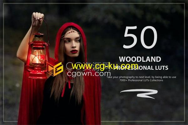 50个适合森林田野林地自然景观调色预设Woodland LUTs的图片1