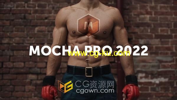 AVID插件Mocha Pro 2022 v9.0.1专业摄像机反求平面跟踪的图片1