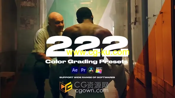 222种专业LUTS调色预设适合各种社交媒体短视频滤镜婚庆照片电影等的图片1