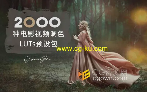 2000种电影视频调色预设包和LUTs文件 非常全面的图片1