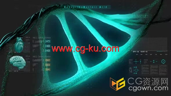 40多种HUD元素医疗DNA心脏大脑3D全息图形动画视频AE模板的图片1