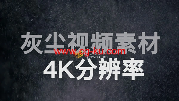 10种灰尘粒子动画叠加视频素材4K分辨率的图片1