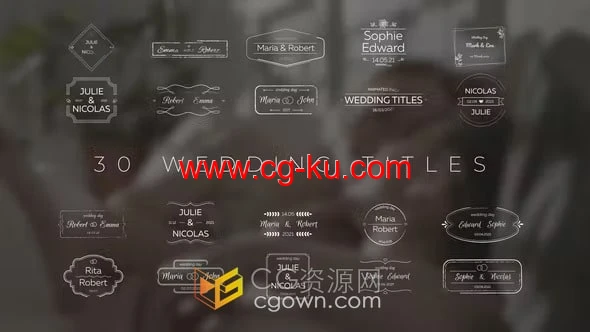 PR模板mogrt基本图形30个婚礼文字标题动画的图片1