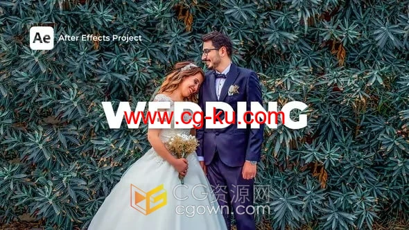 婚礼请柬邀请开场视频动画制作AE模板下载的图片1