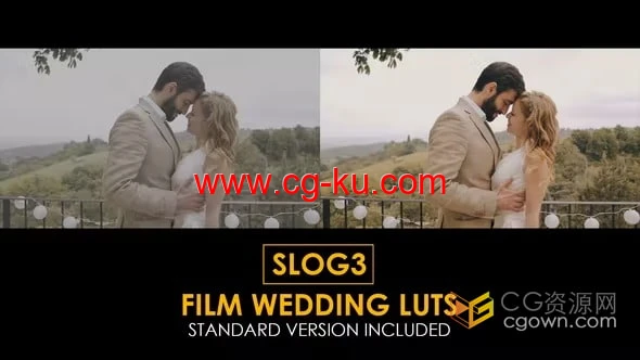索尼相机SLOG3婚礼视频调色LUTs预设25组的图片1