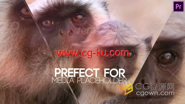 照片动画线条分割简单玻璃镜面效果视频相册-PR模板的图片1