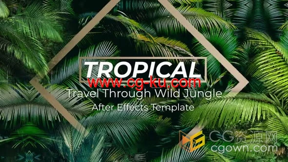 丛林热带自然环境宣传相册相关动物介绍视频-AE模板下载的图片1