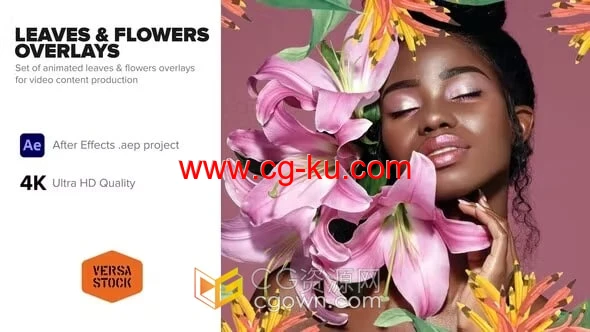 AE模板-叶子和花朵叠加动画高级美妆广告品牌宣传视频制作的图片1