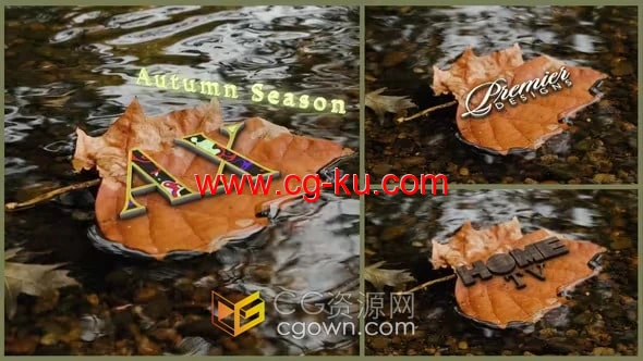 AE模板-逼真的秋天落叶漂浮于水面的黄色叶子标志动画的图片1