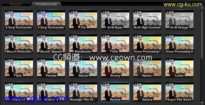 25组光泽效果达芬奇预设Lustre PowerGrades Bonus for DaVinci Resolve的图片1