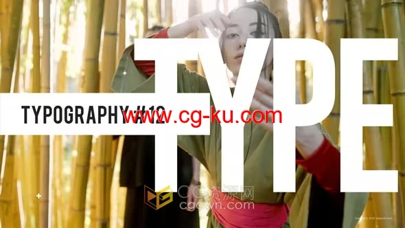 动态文字排版介绍动画宣传广告视频-AE模板的图片1