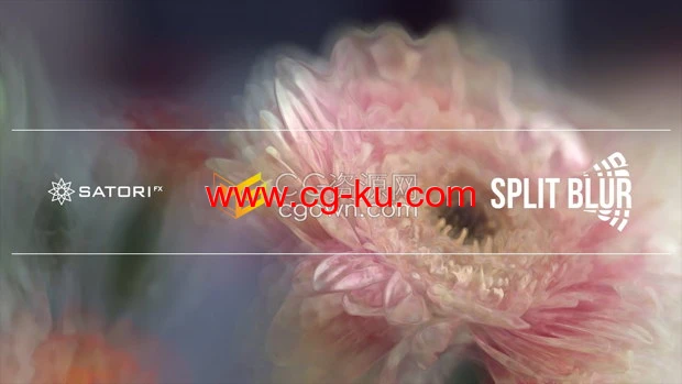AE/PR插件万花筒分割模糊迷幻视觉特效Split Blur v1.1.1的图片1