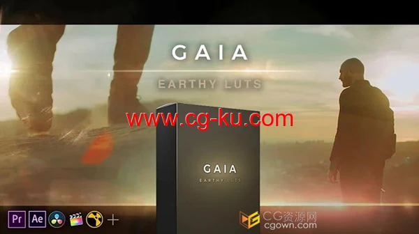 12个LUTS流行大地色调有机柔和自然调色板视频调色预设的图片1