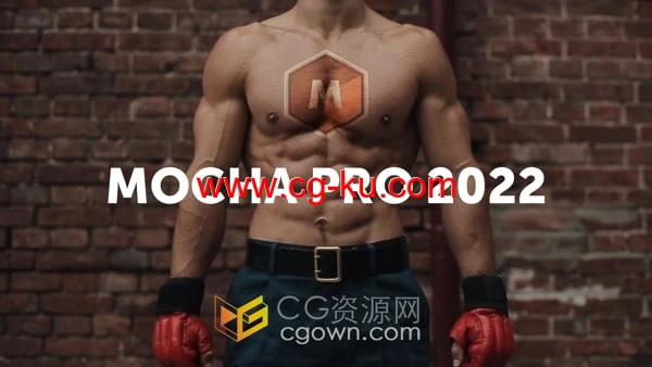 Mocha Pro 2022.5 v9.5.5跟踪软件与Adobe/OFX插件版的图片1