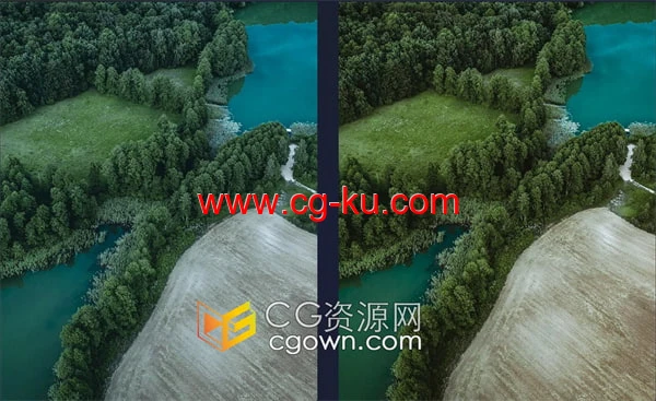 金棕色森林绿色和深蓝色高级LUT提升大自然色彩亮度活力和微妙色调的图片3