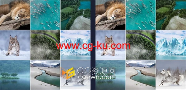 金棕色森林绿色和深蓝色高级LUT提升大自然色彩亮度活力和微妙色调的图片4