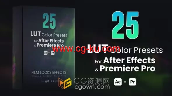 25个LUTs调色预设包括在AE与PR怎么使用视频教程的图片1