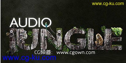 2014年AE模板流行音效背景音 AudioJungle Items in the Bundle 2014的图片1