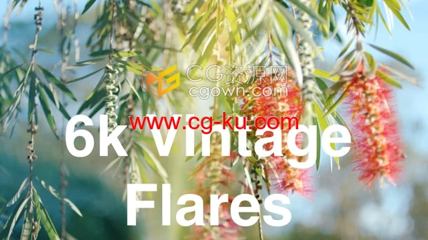 65组复古镜头耀斑光效叠加4K视频素材Vintage Flares的图片1