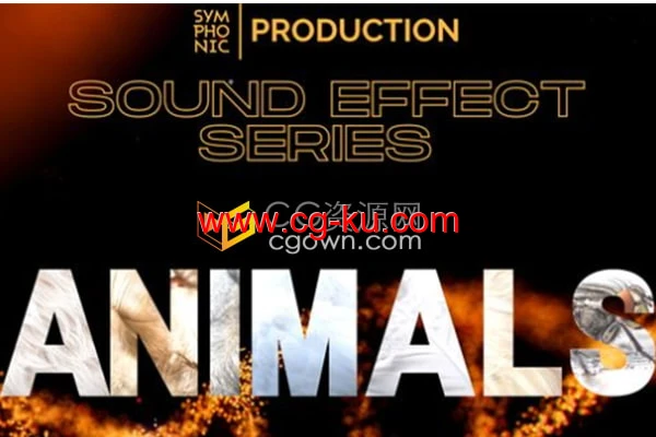 各种类型的动物声音狗吠蜂鸣猫叫布谷鸟青蛙麻雀等音效的图片1