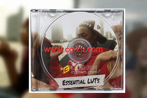 免费下载12个常用调色预设Essential LUT时下流行滤镜效果的图片1