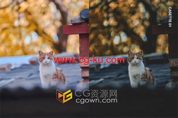 复古怀旧电影风格Analog Aura Lightroom预设和LUT的图片3