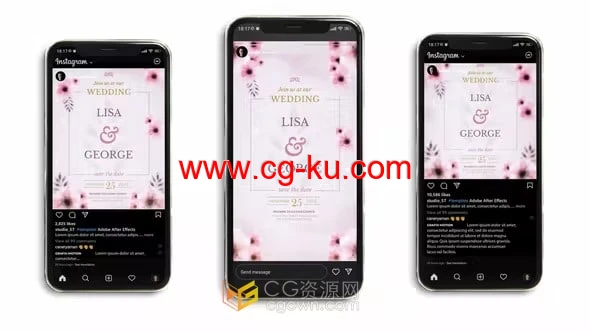 婚礼请柬简介结婚请帖小短视频动画AE模板下载的图片1