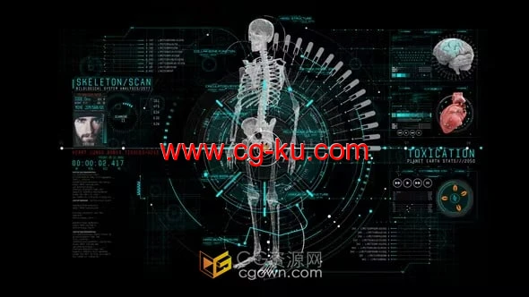 HUD信息医疗人体器官骨骼生物医学技术界面元素-AE模板的图片1