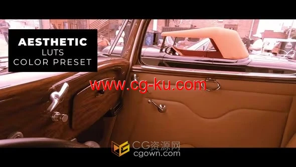12种复古色调视频调色预设LUTs文件下载的图片1