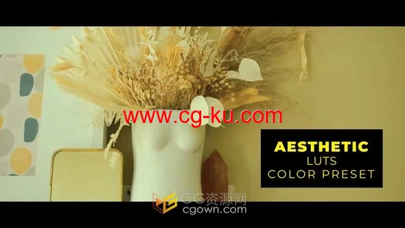 Aesthetic LUTs室内设计美学视频调色LUTs预设12组的图片1